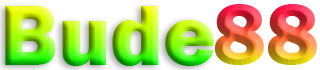 BUDE88
